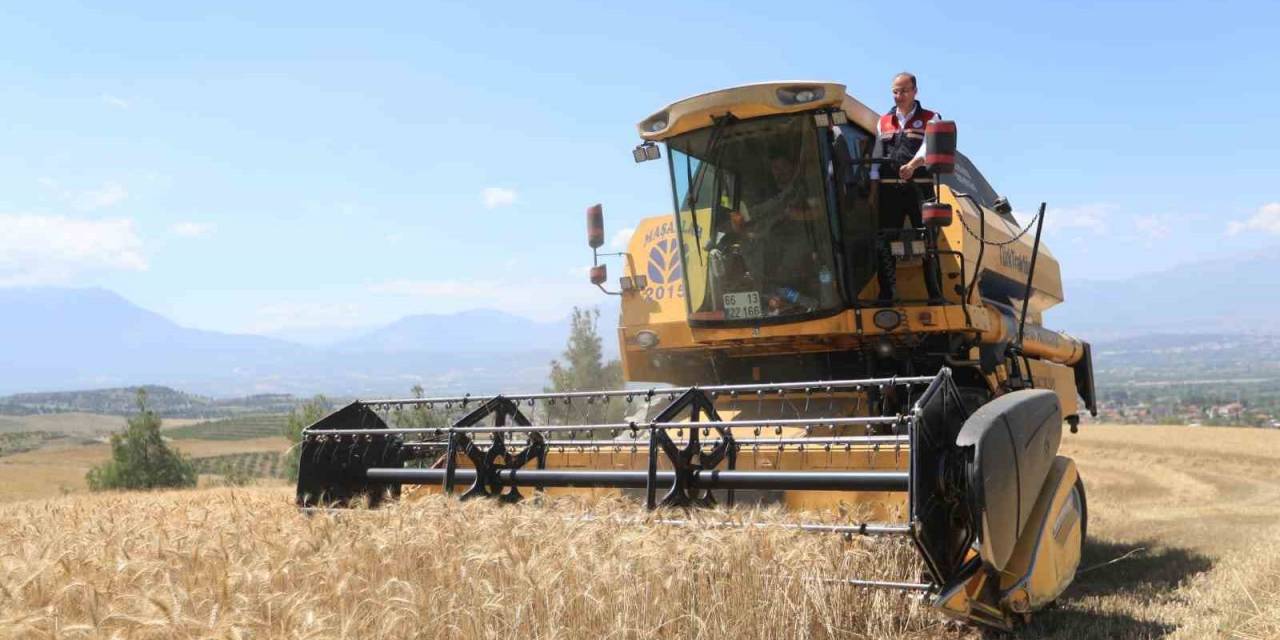 Pamukkale’de Hasat Başladı