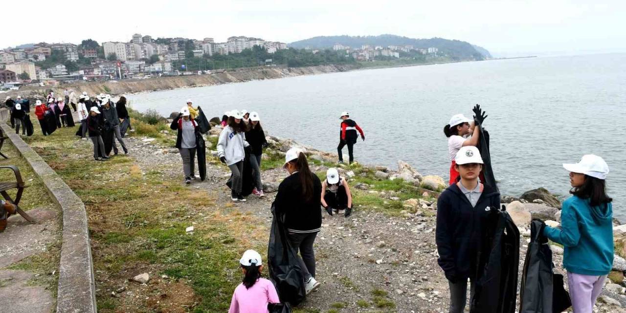 Alaplı’da Dünya Çevre Gününde Farkındalık Etkinliği