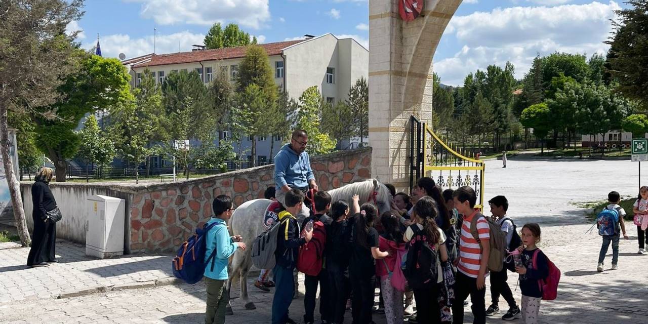 İlkokul Öğrencilerinin At Sevgisi