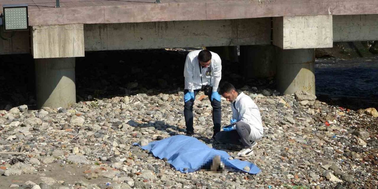 Ordu’da Deniz Kenarında Erkek Cesedi Bulundu