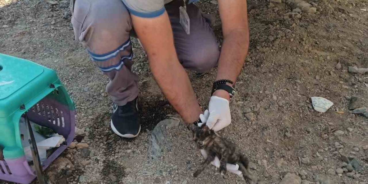 Vatandaş İhbar Etti, Belediye Müdahale Etti