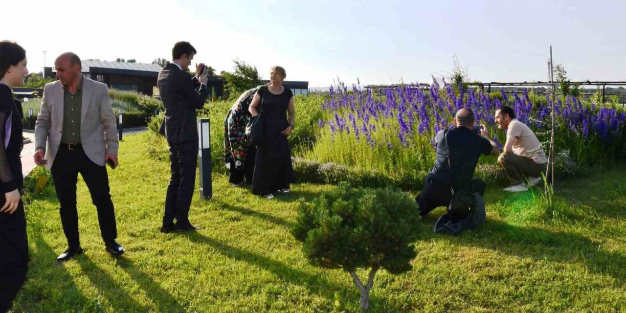Ressamlar, Hersek Bölgesine Hayran Kaldılar