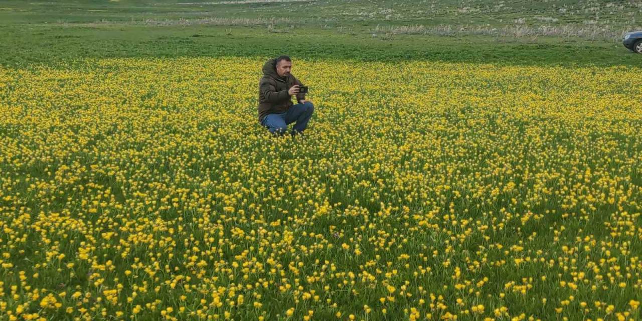 Keşiş Gölü Doğanın Bin Bir Rengiyle Hayran Bırakıyor