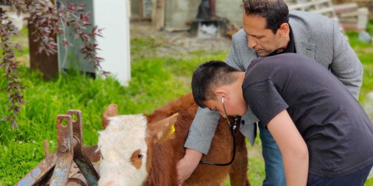 Veteriner Hekim Olmak İsteyen Çocuklar Meslek Hakkında Bilgi Aldı