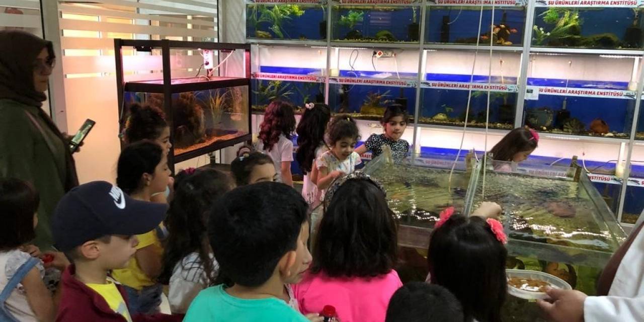 Öğrenciler Balık Müzesini Gezdi