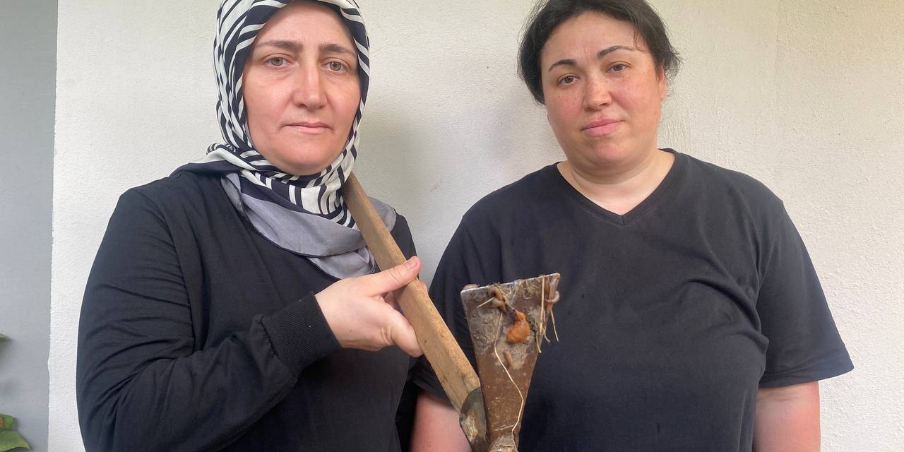 Köyleri Basan Sülük Vatandaşları Canından Bezdirdi