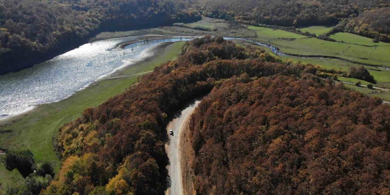 Kırklareli’nde Ormanlara Giriş Yasağı: 30 Eylül’de Sona Erecek