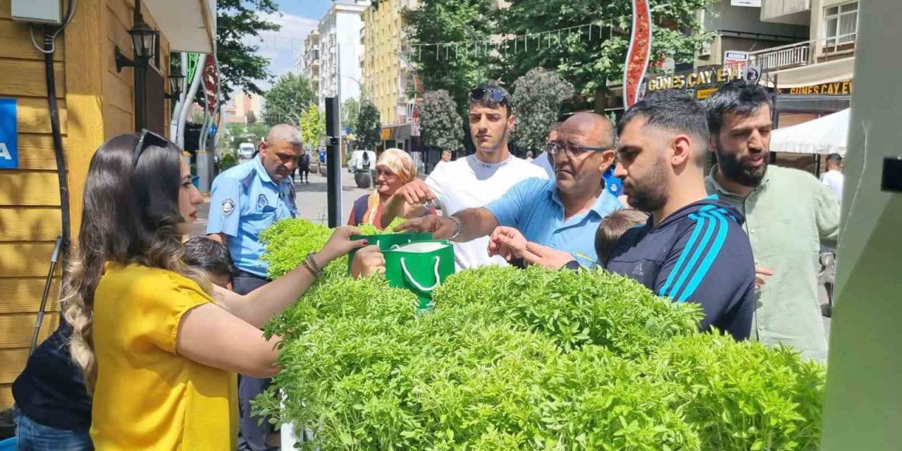 Yenişehir’de Çevre Koruma Haftası’nda Vatandaşa Fesleğen Dağıtıldı