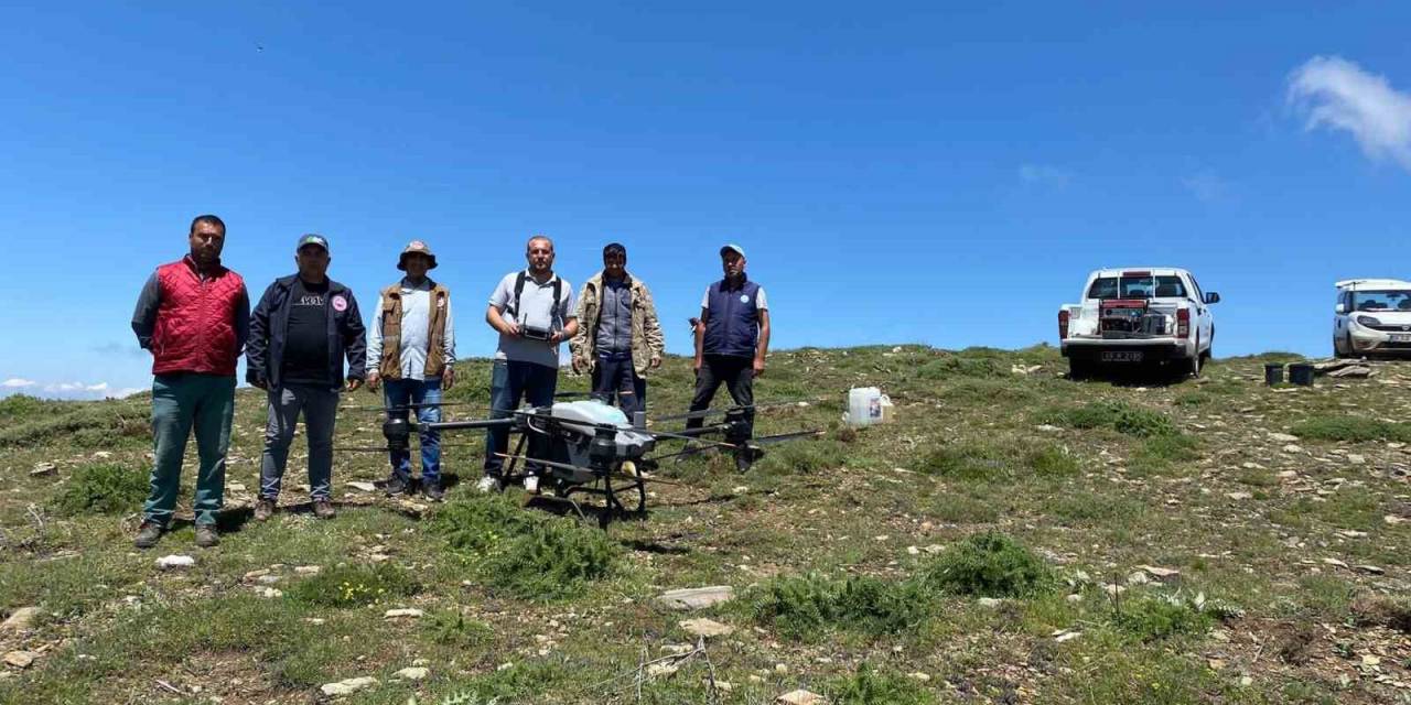 Salihli’de Çekirgeye Karşı Dron İle Mücadele