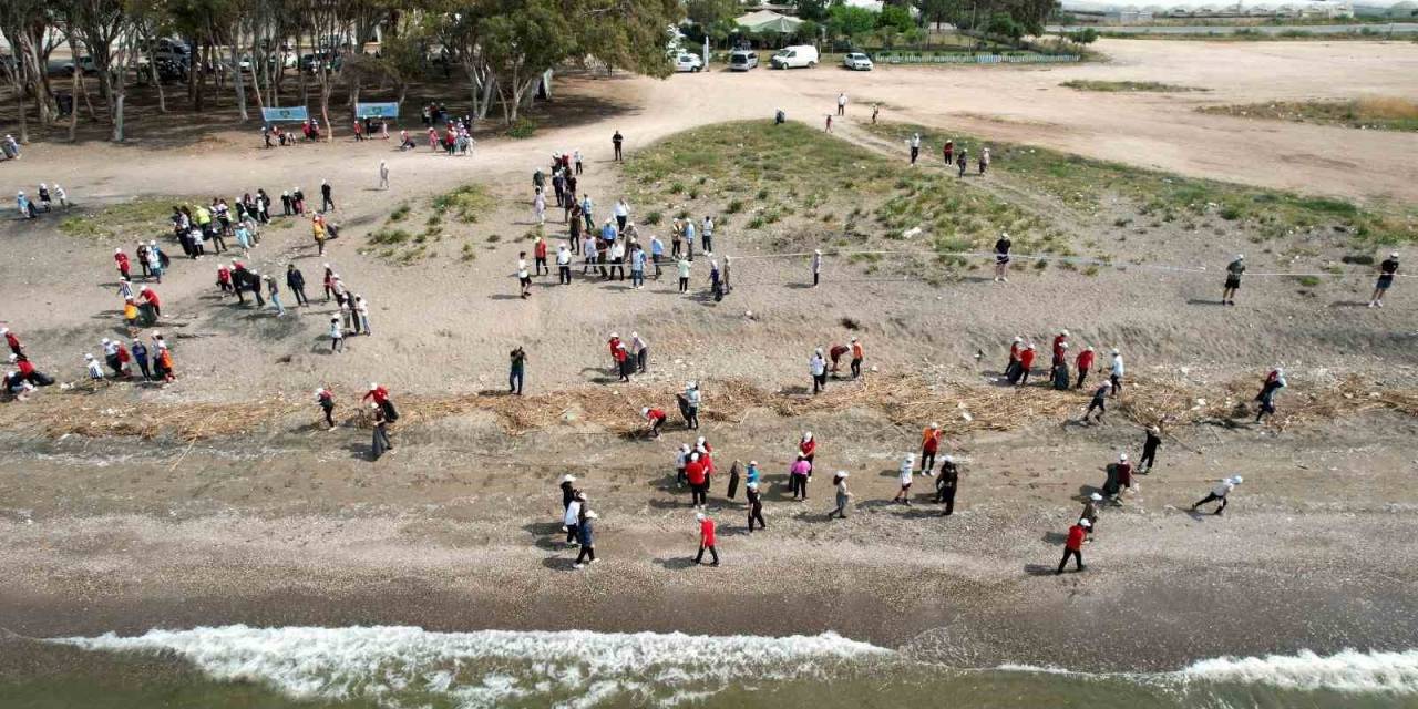 Akdeniz’de Caretta Carettaların Yuvalandığı Alanlar Temizlendi