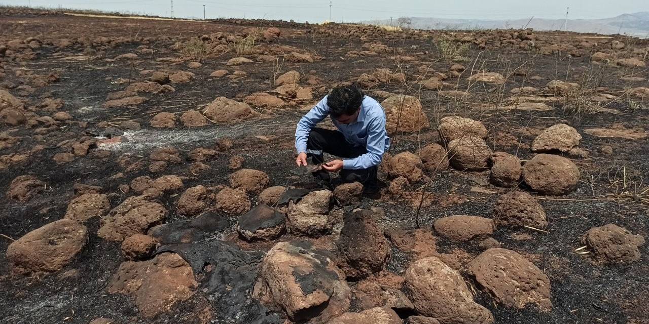 İslahiye’deki Tarla Yangını En Büyük Darbeyi Çiftçiye Vurdu