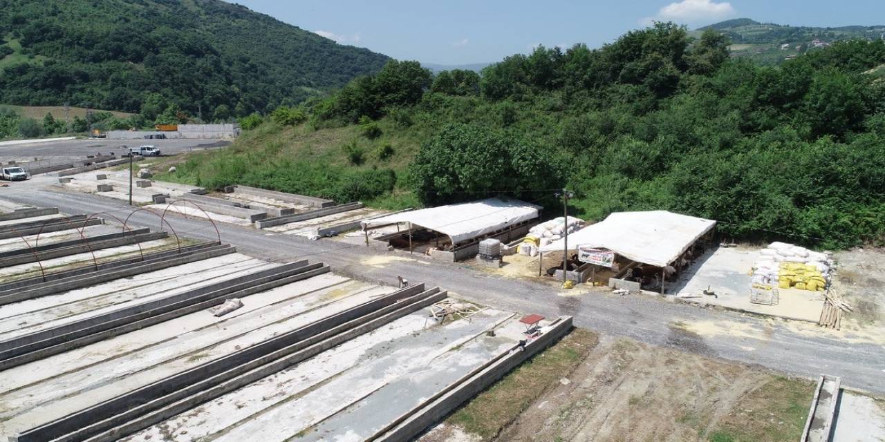 Hayvan Pazarına İlk Kurbanlıklar Diyarbakır’dan