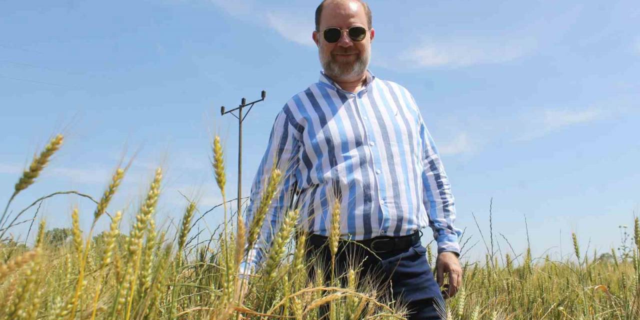 Cumhurbaşkanı Erdoğan’ın Buğday Fiyatı Açıklaması Edirneli Üreticileri Sevindirdi