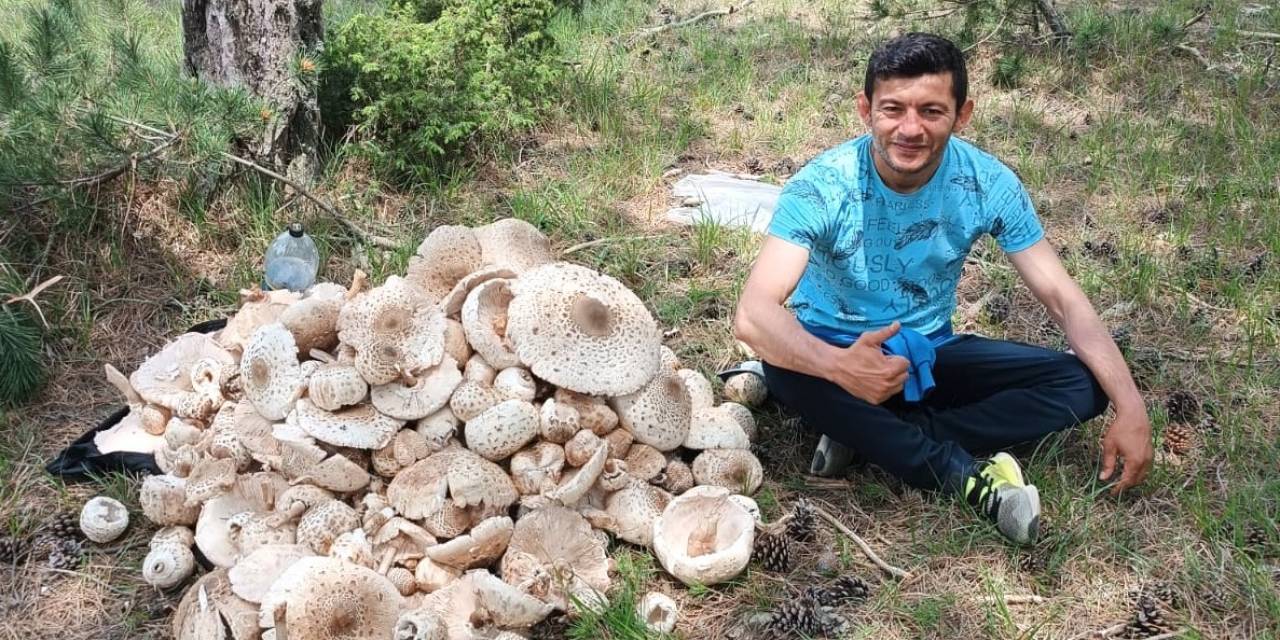 Kütahya’da Yağışlar Mantara Bereket, Sofralara Lezzet Getirdi