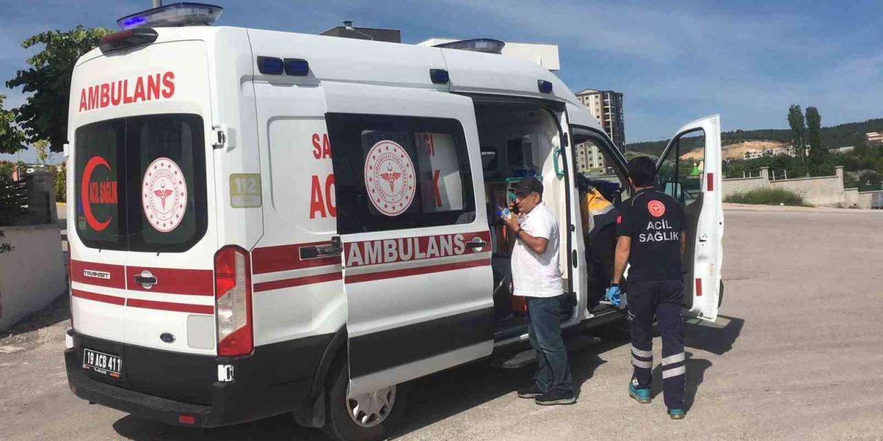 Hafif Ticari Araç İle Otomobil Çarpıştı: 1 Yaralı