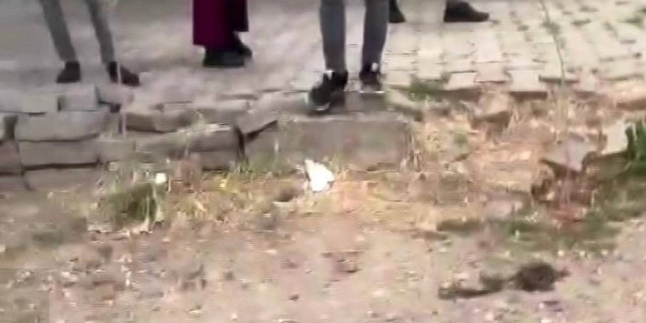 Dicle Elektrik Ekibine Tehdit Savuran Şüpheliler Adli Kontrol Şartıyla Serbest Bırakıldı