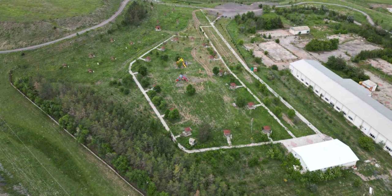 Tercan Camii Şerif Millet Bahçesi Açılışı Yapıldı