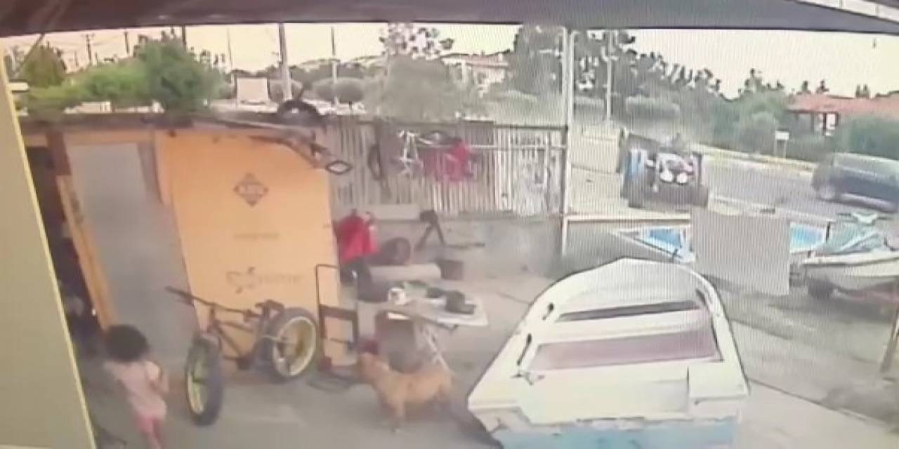 Minik Çocuk Ve Köpeği Ölümden Saniyelerle Kurtuldu, O Anlar Güvenlik Kamerasına Yansıdı