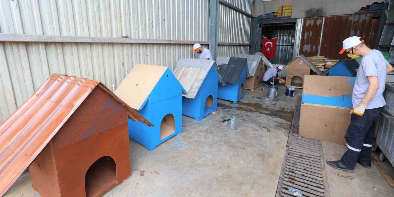 Atık Malzemeler Sokak Hayvanlarına Yuva Oluyor