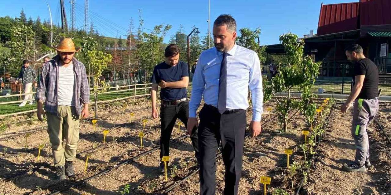 Pursaklar’da Ata Tohumları Ata Bahçesinde Toprakla Buluştu