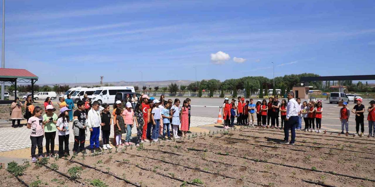 Büyükşehir’in Doğal Ürünler Bahçesi, Minikleri Ağırladı