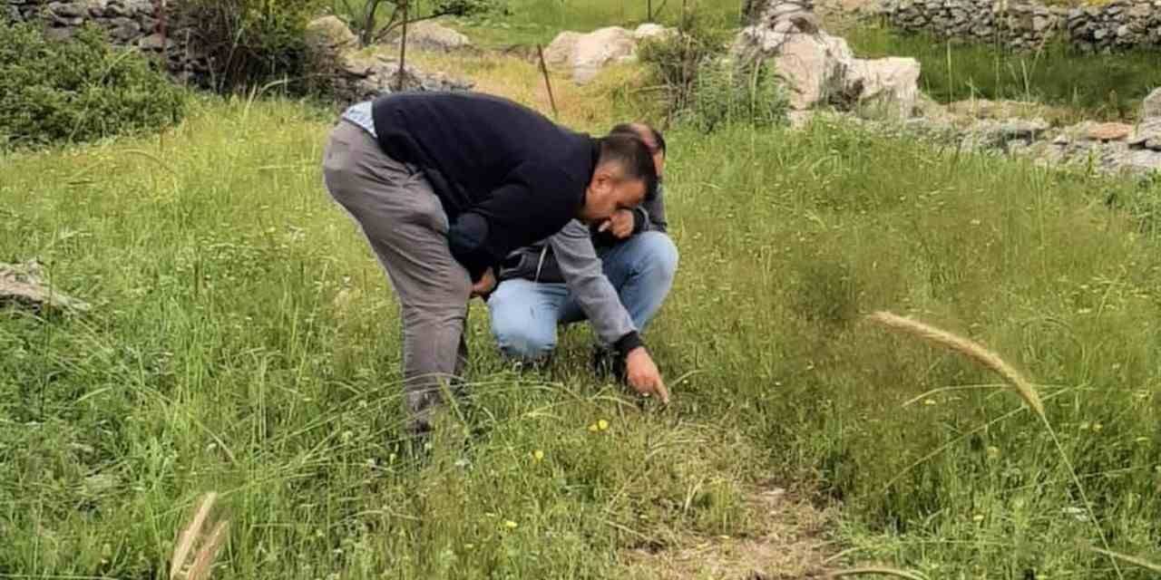 Bitki Sağlığı İle İlgili Kontroller Tamam