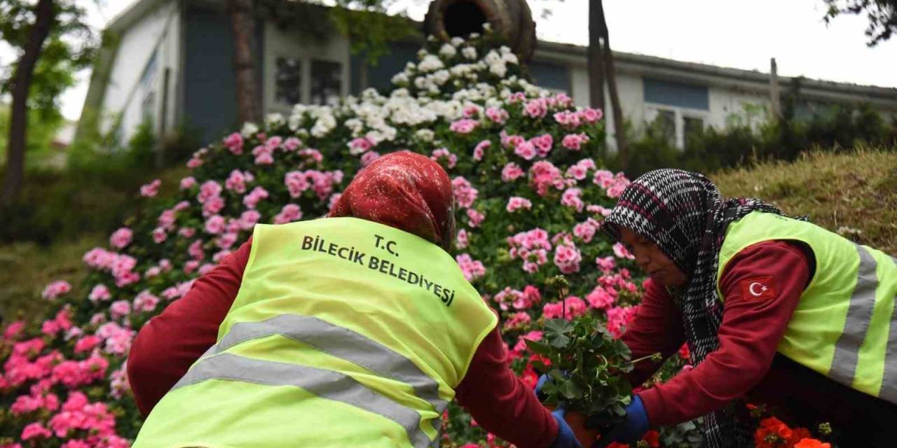 Park Ve Bahçelerde Yapılan Çalışmalarla Bilecik’i Güzelleşiyor