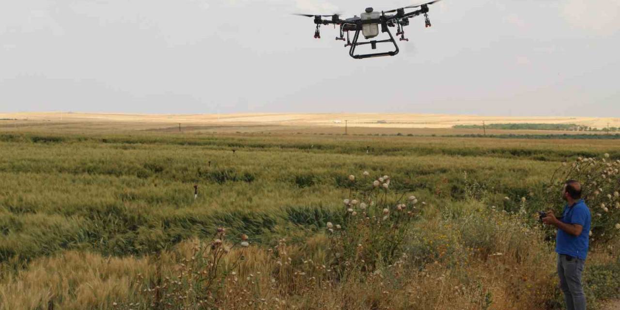 Ziha Dron Teknolojisi Tarlaya Girdi
