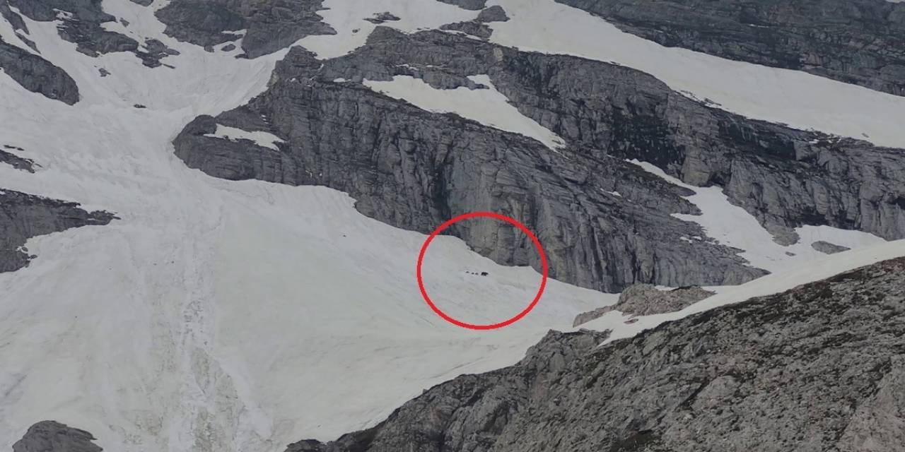 Uludağ’ın Zirvesinde Ayıların İzinde