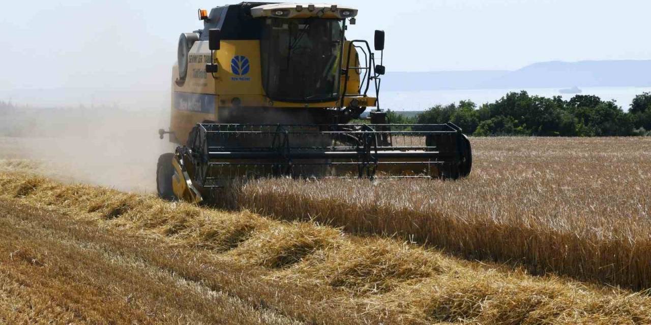 Çanakkale’de Arpa Hasadı Başladı