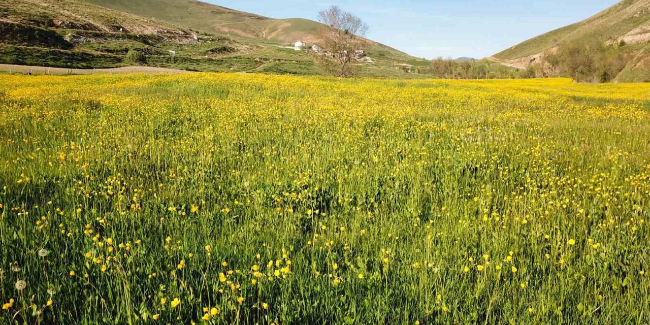 Bu Manzarayı Görebilmek İçin 10 Gün Kaldı