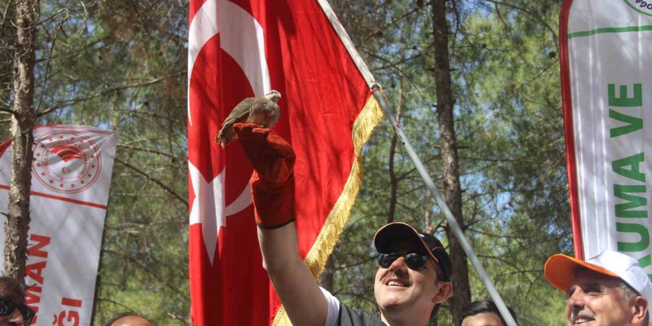 Doğaya Keklik Salıp Çöpleri Topladılar