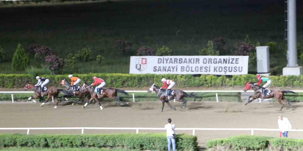 Osb Yönetim Koşusunu Koç Kaçığı Kazandı