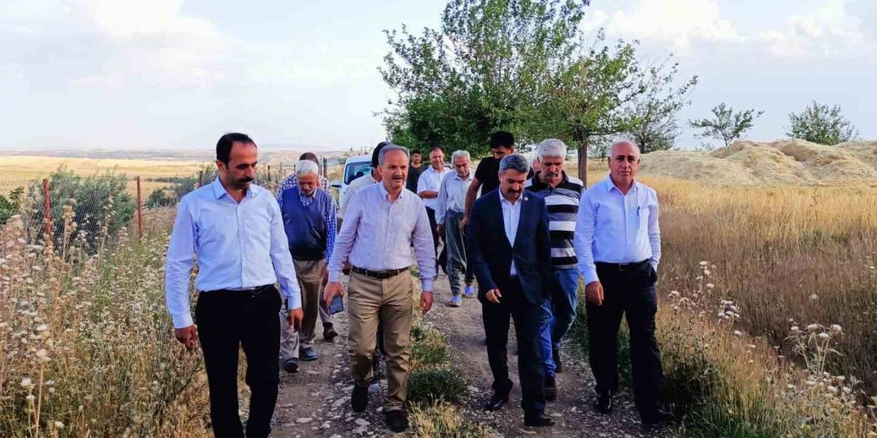 Çiftçilerle Birlikte Hububat Hasadı Yaptı