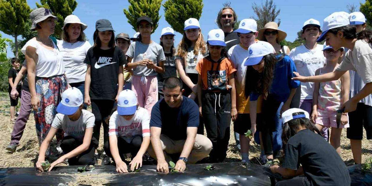 Minik Eller Yaz Fidelerini Adabahçe’nin Bereketli Topraklarıyla Buluşturdu