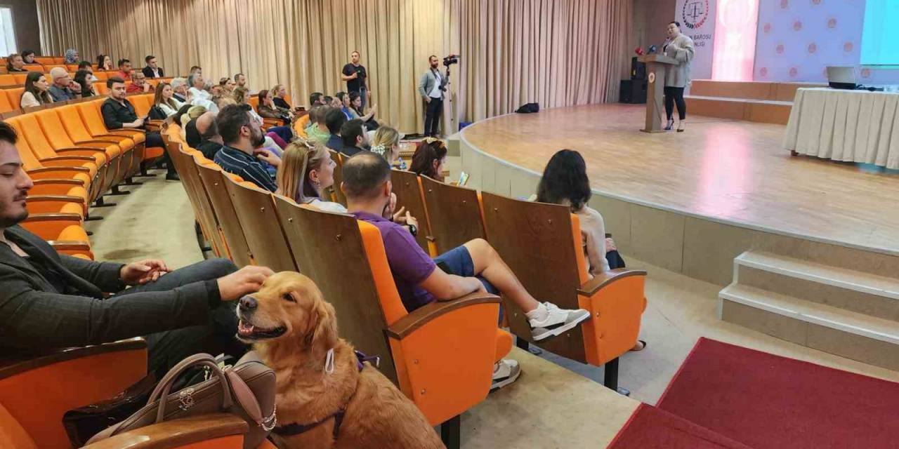 Samsun’da Hayvan Hakları Çalıştayı