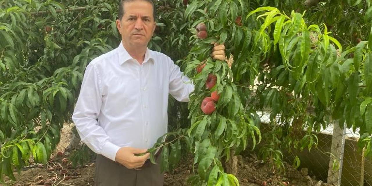 Akdeniz Meyve Sineğinin Popülasyonu Artabilir, Önlemler Alınmalı