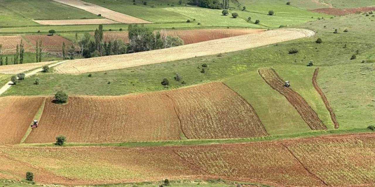 Çamoluk İlçesinde Atıl Araziler Tarıma Kazandırılıyor