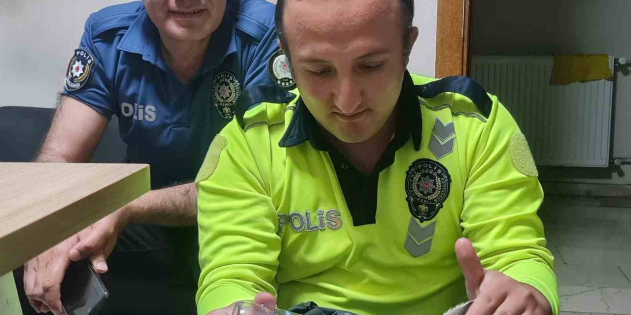 Yaralı Yavru Karacaya Polis Ekipleri Sahip Çıktı