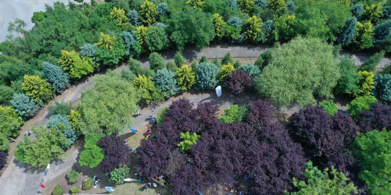 Kocaeli’de Kişi Başına Düşen Yeşil Alan 13,5 Metrekareye Çıktı