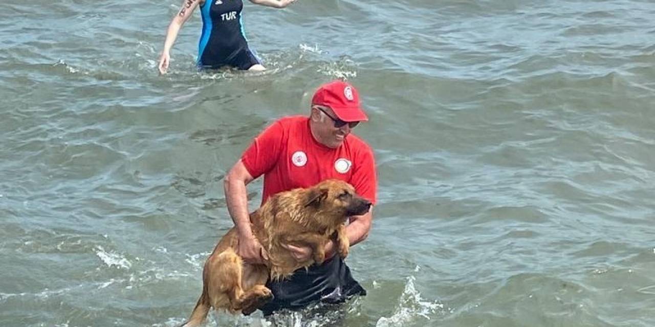 Ordu’daki Triatlon Yarışlarında İlginç Olay