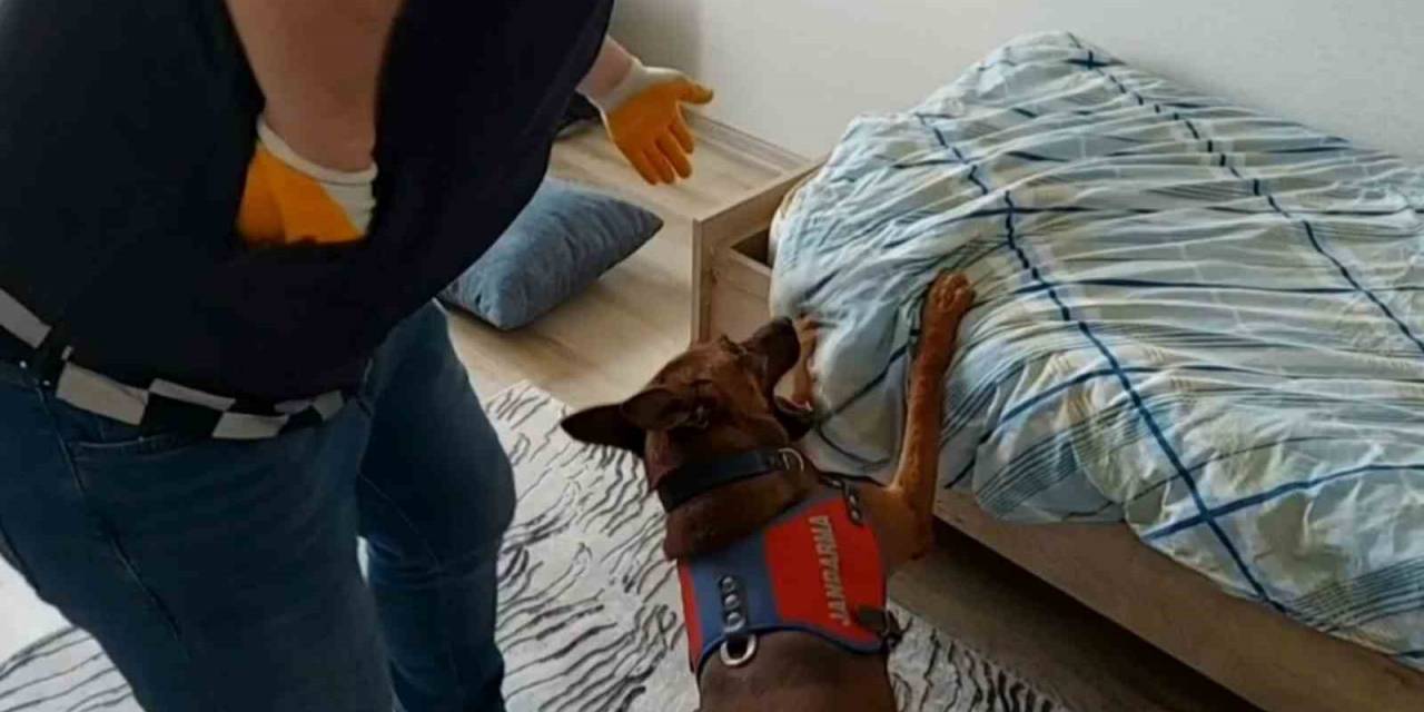 Yatak Altından Uyuşturucu Çıktı