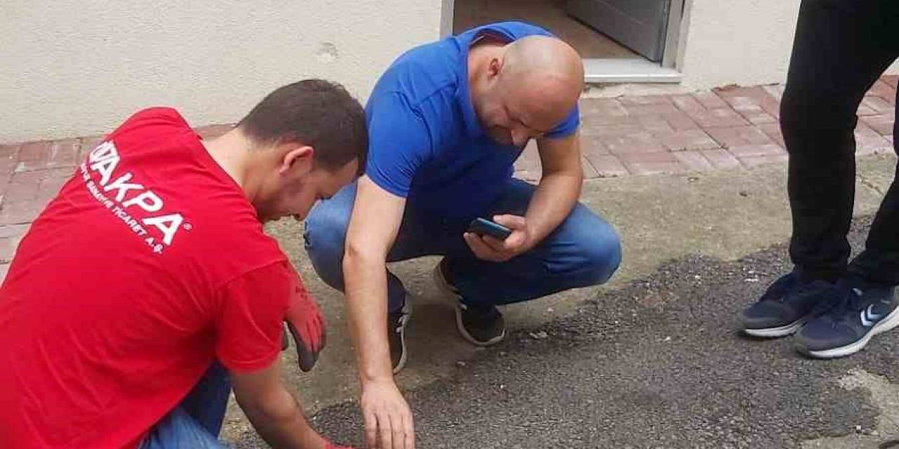 Vatandaşların Bulduğu Tilki Yavrusu Koruma Altına Alındı