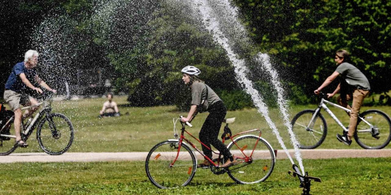 Almanya’da Kuraklık Alarmı