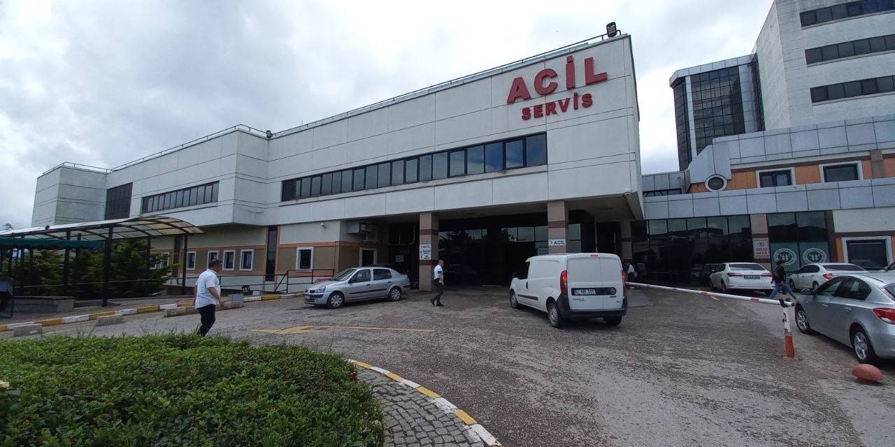 Köpek Saldırısına Uğrayan Üniversite Öğrencisi Yüksekten Düşüp Yaralandı
