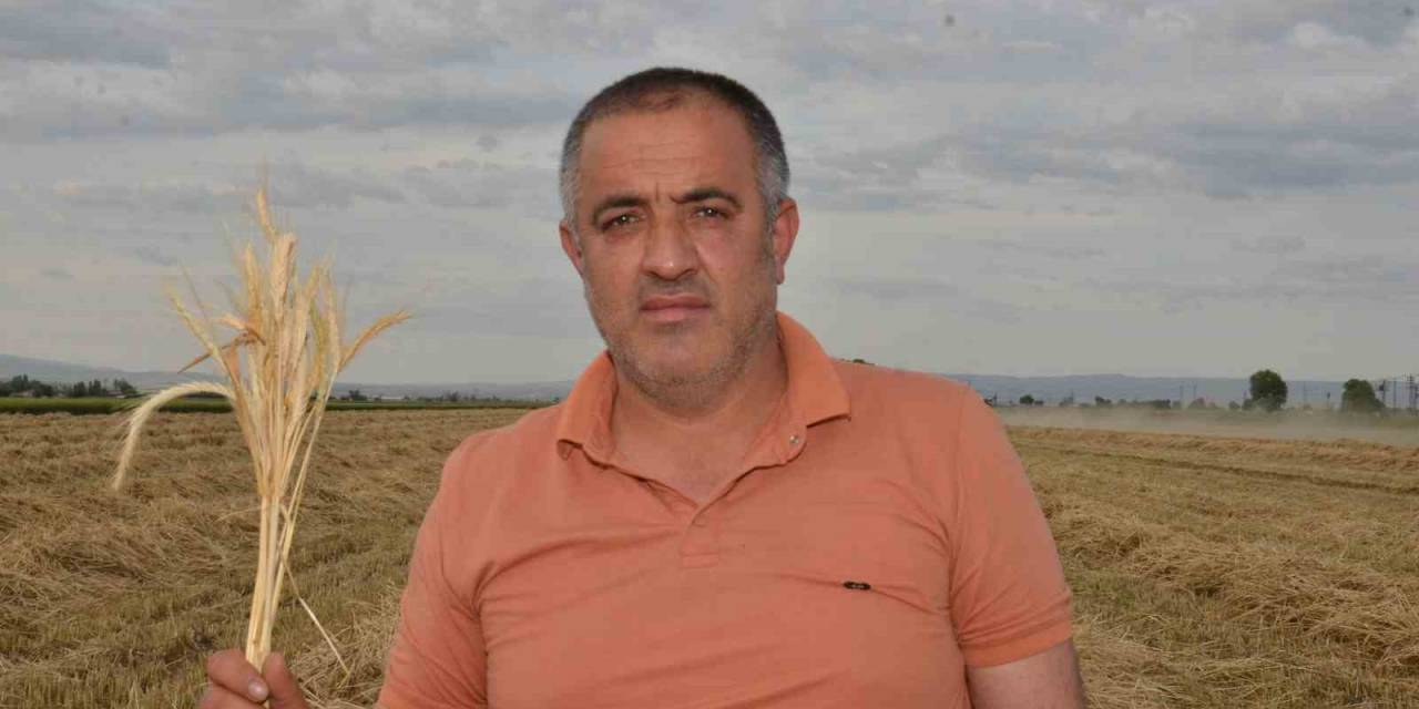 Depremzede Çiftçilerin Devlet Desteği İle Ektikleri Yem Bitkisi Hasadı Başladı