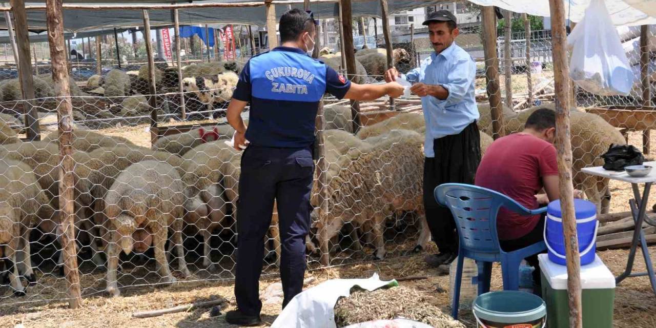 Çukurova’da Kurban Satış Yerleri Belirlendi