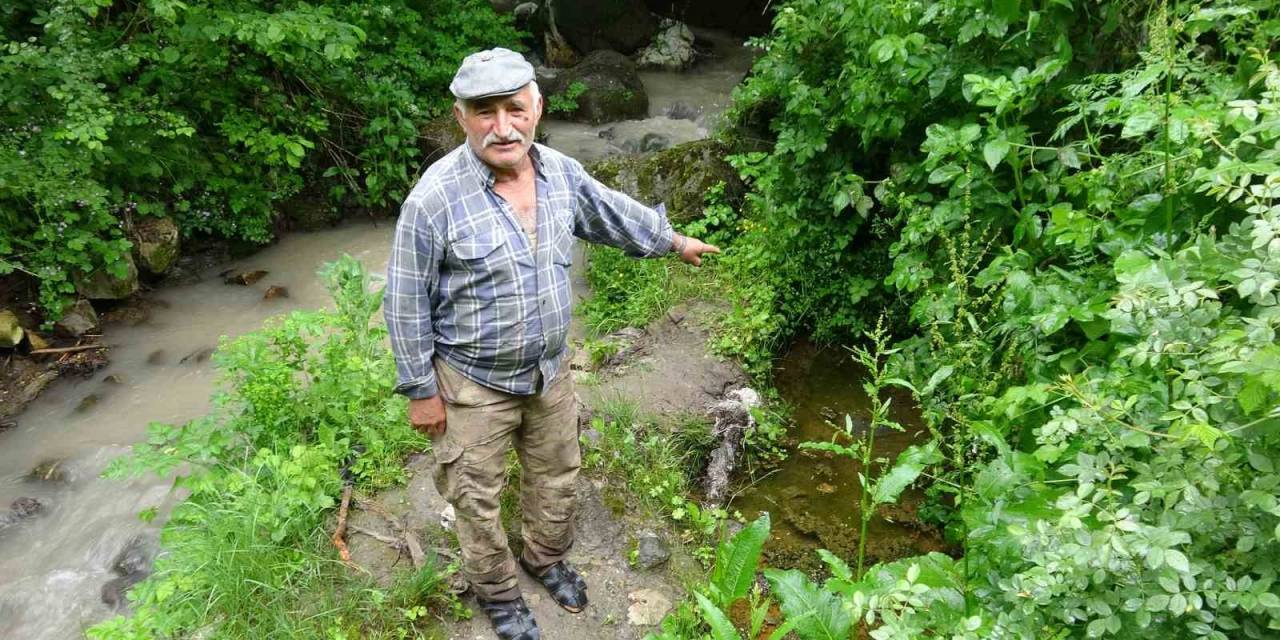 Sarılık Hastaları Bu Suda Şifa Arıyor