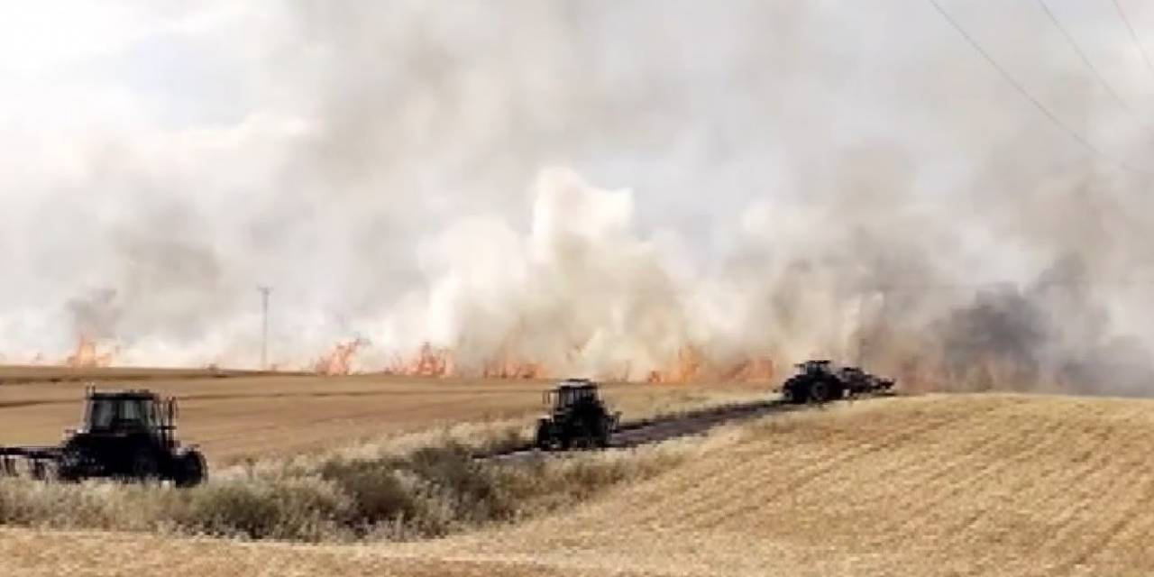 Diyarbakır’da Yaklaşık Bin Dönümlük Buğday Tarlası Küle Döndü