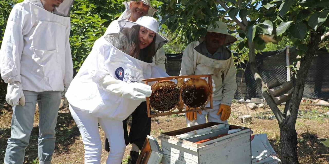 Büyükşehir Kursiyerleri Kovan Başında Arıcılık Eğitimi Aldı
